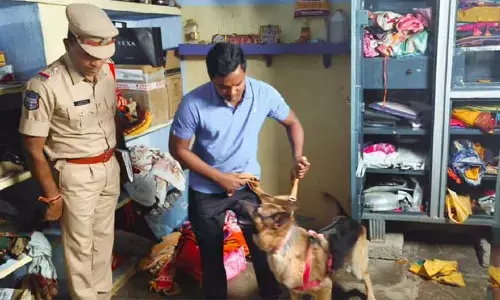 రామకృష్ణాపూర్ పట్టణంలో చోరీ..