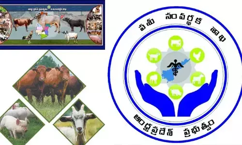 AP: ఏపీ పశుసంవర్థక శాఖకు అవార్డుల పంట