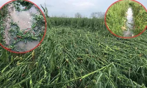 గీసుగొండ మండలంలో వడగండ్ల వాన బీభత్సం