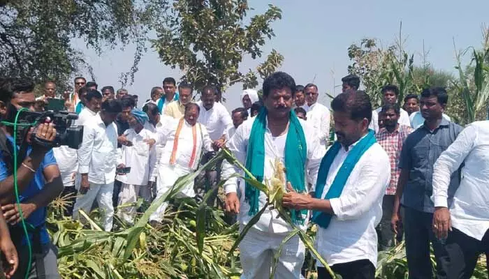 మంత్రులను ఢిల్లీకి పంపడం కాదు.. పంట నష్టం జరిగిన ప్రాంతాల్లో పంపాలి.. మంత్రులను ఢిల్లీకి పంపడం కాదు.. పంట నష్టం జరిగిన ప్రాంతాల్లో పంపాలి..