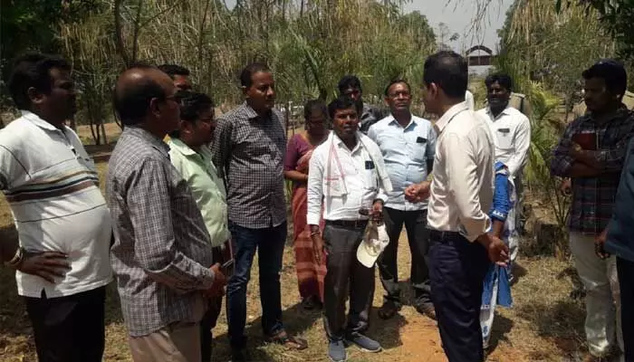 ప్రజలకు హాని కలిగించే కార్నోపాస్ చెట్లను తొలగించాలి.. ప్రజలకు హాని కలిగించే కార్నోపాస్ చెట్లను తొలగించాలి..