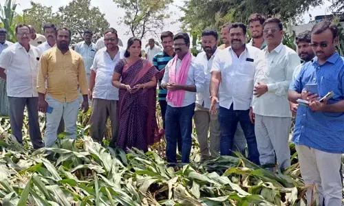 నిండా ముంచిన వడగళ్లు.. ఆదుకోవాలని ఫార్మర్స్ డిమాండ్