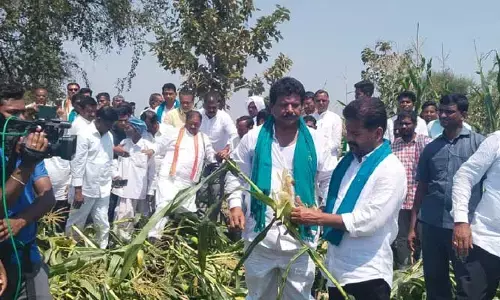 మంత్రులను ఢిల్లీకి పంపడం కాదు.. పంట నష్టం జరిగిన ప్రాంతాల్లో పంపాలి..