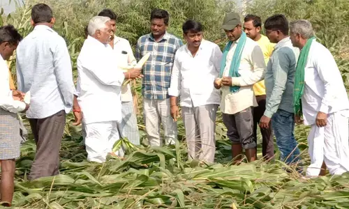 పంట నష్టపోయిన రైతులను ప్రభుత్వమే ఆదుకోవాలి: ఎమ్మెల్సీ జీవన్ రెడ్డి