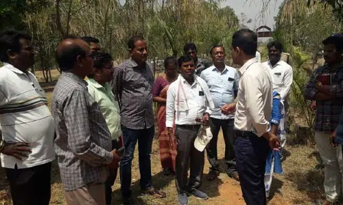 ప్రజలకు హాని కలిగించే కార్నోపాస్ చెట్లను తొలగించాలి..