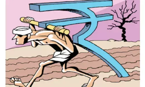 సిద్దిపేట జిల్లాలో 2,020 ఎకరాల్లో పంట నష్టం