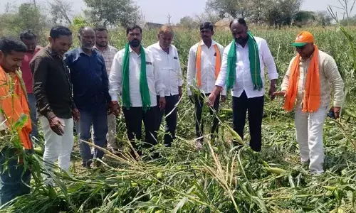 అకాల వర్షాలతో నష్టపోయిన రైతులను ఆదుకోండి..