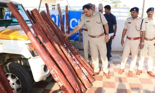రూ.కోటి విలువైన ఎర్రచందనం సీజ్
