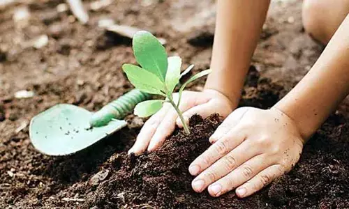 ఆయుష్షును పెంచే గ్రీన్ ఇండియా ఛాలెంజ్