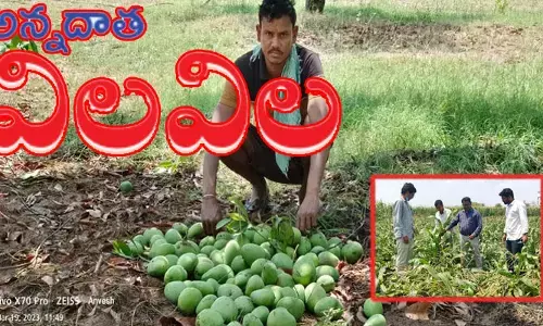 అకాల వర్షాలతో అన్నదాత విలవిల