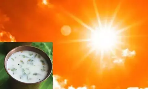 లోపల చల్లగా ఉండాలంటే.. పై నుంచి ఇది పడాల్సిందే..!