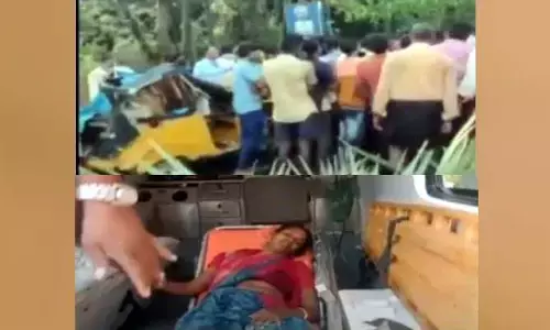 Tragedy: 16 నెలల చిన్నారి ప్రాణం తీసిన చెట్లు