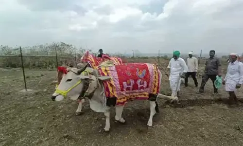 ఆదివాసీలతో సీఎల్పీ నేత భట్టి ఉగాది వేడుకలు..