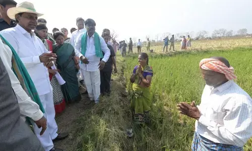 సీఎం ప్రక‌ట‌నతో పంట న‌ష్టంపై స‌ర్వే షురూ