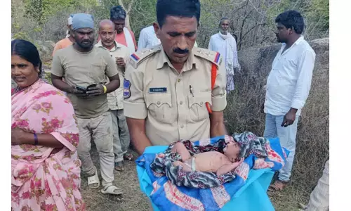 ముళ్లపొదలో నవజాత శిశువు