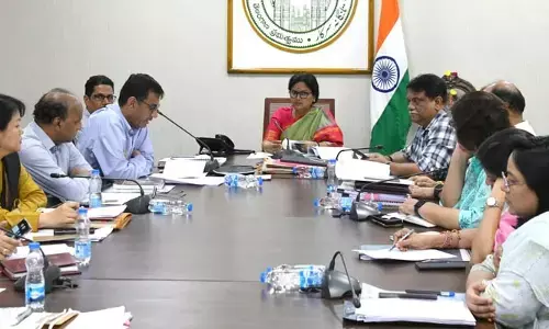 హరిత హారానికి స్థలాలను గుర్తించండి.. సీఎస్​ శాంతి కుమారి