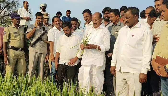 అకాల వర్షాలకు దెబ్బతిన్న పంట పొలాలను పరిశీలించిన ఆర్టీసీ చైర్మన్ అకాల వర్షాలకు దెబ్బతిన్న పంట పొలాలను పరిశీలించిన ఆర్టీసీ చైర్మన్