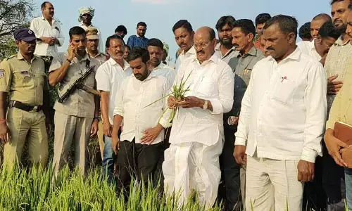 అకాల వర్షాలకు దెబ్బతిన్న పంట పొలాలను పరిశీలించిన ఆర్టీసీ చైర్మన్