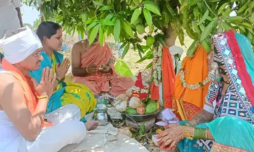 ఇలాంటి పెళ్లిని ఎప్పుడూ చూసుండరు.. మామిడి తోటలో వైభవంగా కల్యాణం (వీడియో)