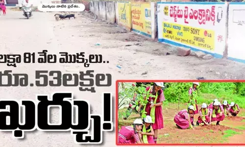 నాటింది లక్షా 81 వేల మొక్కలు.. బతికింది 20 వేలే
