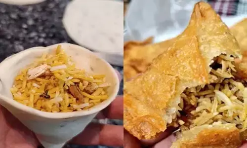 సమోసాలో బిర్యానీ.. ఆహార ప్రియుల రియాక్షన్ ఇదే