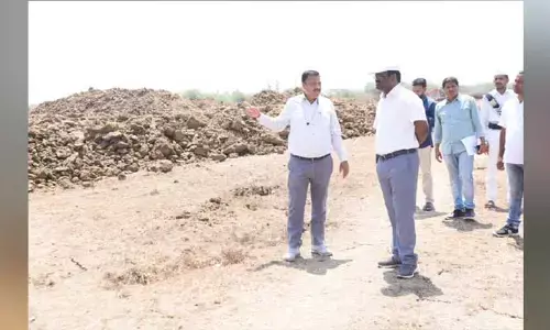 ప్రభుత్వ భూములను పరిశీలించిన కలెక్టర్..