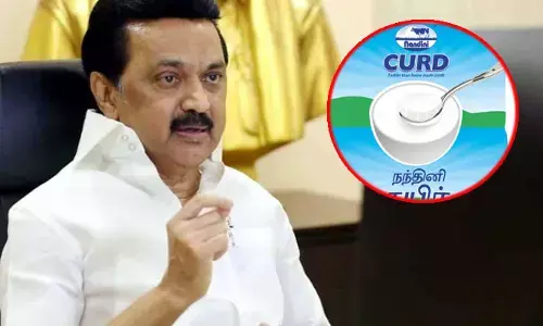 పెరుగు తెచ్చిన తంటా.. ఆ రాష్ట్రంలో మరోసారి హిందీ వ్యతిరేక ఉద్యమం