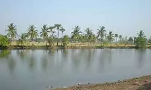 తల్లిదండ్రులను చెరువులో తోసేసిన కొడుకు.. కారణం అదే..