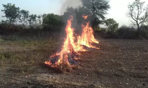 పొలాల్లో నిప్పు.. పర్యావరణానికి ముప్పు