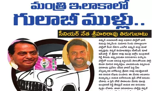 మంత్రి ఇలాకాలో గులాబీ ముళ్లు..