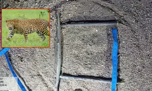 చిరుత సంచారం కలకలం