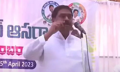 తొడగొడుతూ.. మీసం మెలేస్తూ.. చంద్రబాబుకు మంత్రి ధర్మాన సవాలు