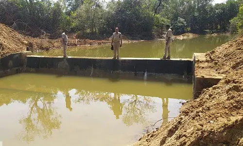 అడవిలో అమృతధార!