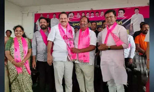 గులాబి కండువా కప్పుకున్నకర్రు ..