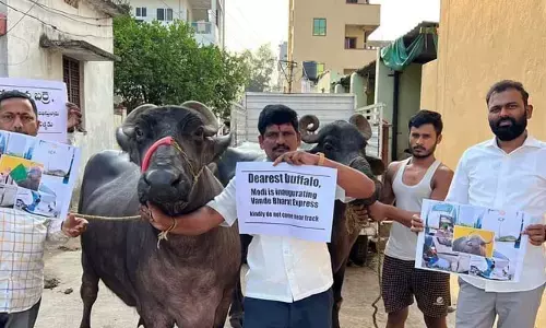 వందేమాతరం రైలును ఢీ కొట్టవద్దంటూ బర్రెలకు వినతి పత్రం
