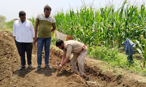 అదిగో పులి.. భయాందోళనలో పలు గ్రామాల ప్రజలు