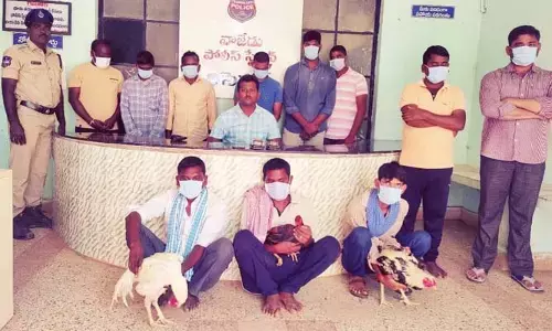 కోడిపందాలు ఆడుతున్న 11 మంది అరెస్ట్..