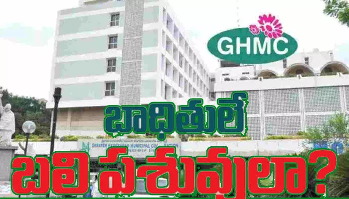 బాధితులే బలి పశువులా? బాధితులే బలి పశువులా?
