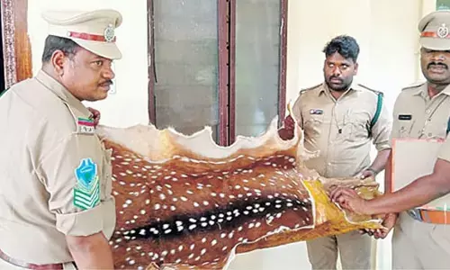 అర్చకుడు ఇంట్లో జింక చర్మం