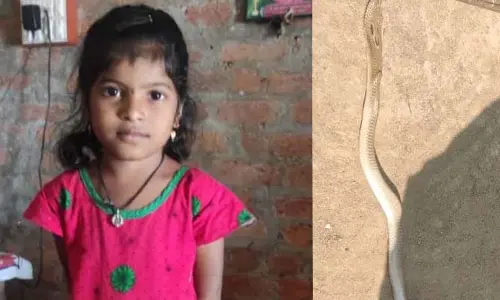 బెస్తగూడెంలో విషాదం.. పాము కాటుతో చిన్నారి మృతి