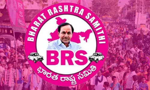Ap: 175 స్థానాలపై బీఆర్ఎస్ ఫోకస్..  జగన్, చంద్రబాబుపై విమర్శలు
