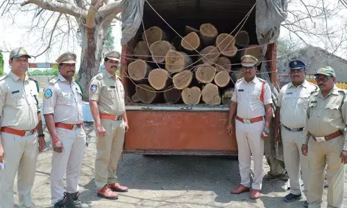 అక్రమంగా తరలిస్తున్న కలప పట్టివేత