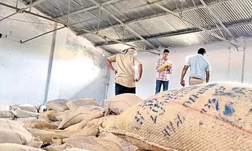 బియ్యం మాఫియా.. అధికార పార్టీ అండదండలతో దందా