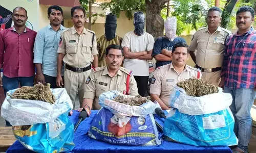 Tanuku: గంజాయి విక్రయిస్తున్న ముగ్గురు యువకుల అరెస్ట్