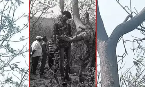 శ్రీశైలం రింగ్ రోడ్డు సమీపంలో ఉరేసుకుని యువకుడు మృతి