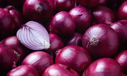 Onion: ఉల్లిపాయతో ఇన్ని ప్రమాదాలున్నాయని తెలుసా?