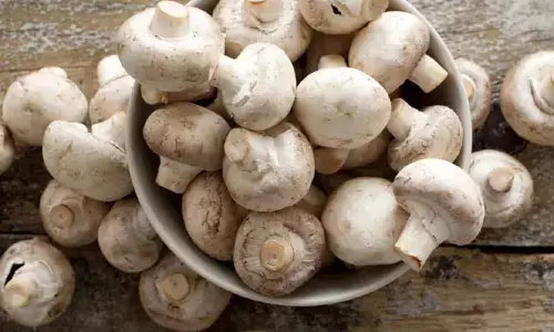 Mushroom: పుట్టగొడుగులు అధికంగా తింటే ఈ ఆరోగ్య సమస్యలు తప్పవట?