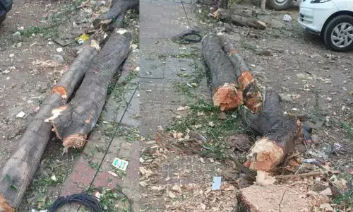 విశాఖలో వాల్టా చట్టానికి తూట్లు