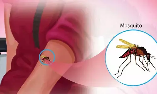 R21/Matrix-M : మలేరియా నివారణకు కొత్త వ్యాక్సిన్‌ను కనుగొన్న పరిశోధకులు