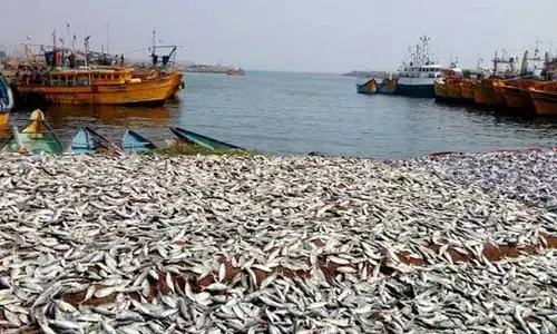 Visakha: చేపల వేట బంద్‌.. మత్స్యకారులకు సాయమేది?..
